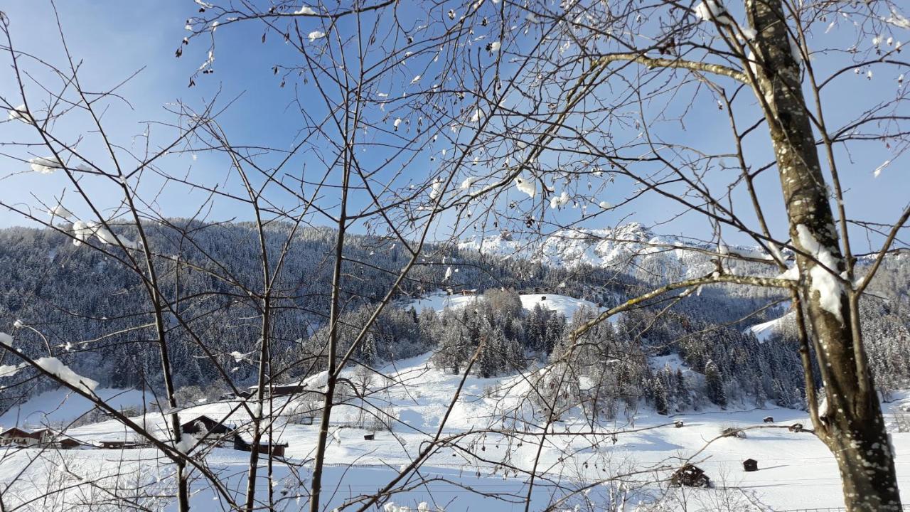 Haus Ruetzbach Appartement Neustift im Stubaital Buitenkant foto