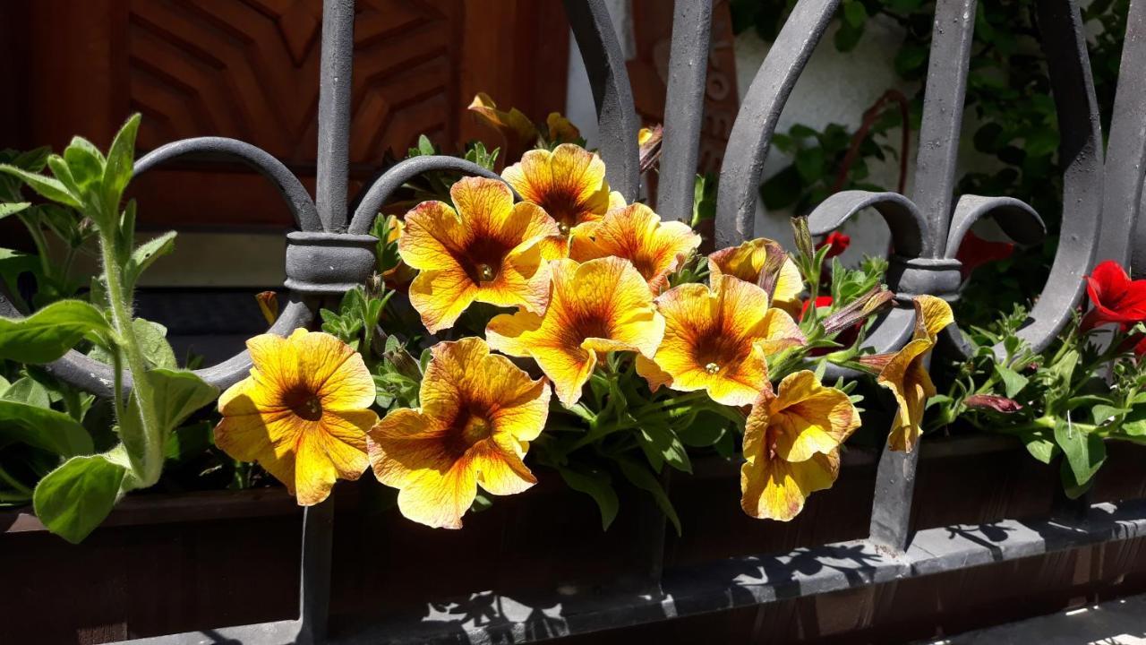 Haus Ruetzbach Appartement Neustift im Stubaital Buitenkant foto
